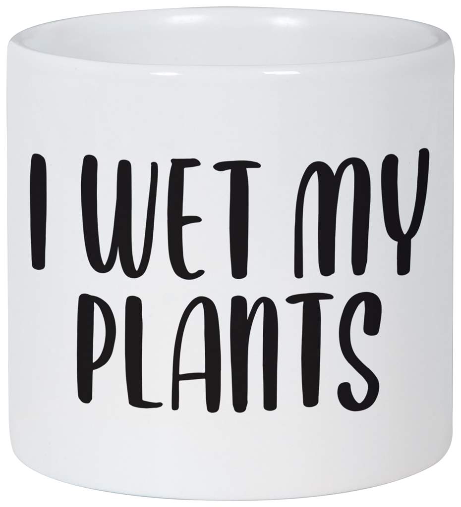 I wet my plants – ceramic planter
